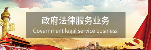 政府法律服务业务